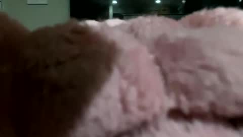 dannyboy621 online show from 11-10-25, 02:10