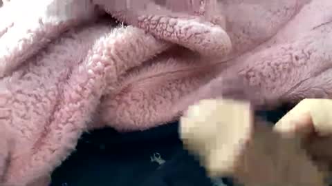 dannyboy621 online show from 11-10-25, 02:16