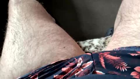 Dano B online show from 03-28-26, 10:15