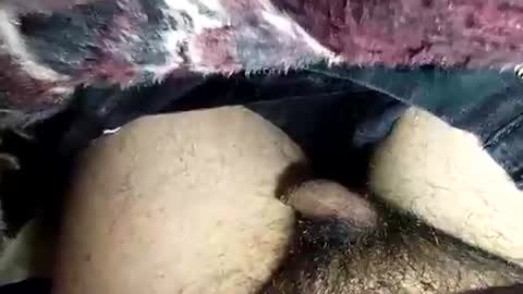 dansweetie_20 online show from 02-12-26, 10:27