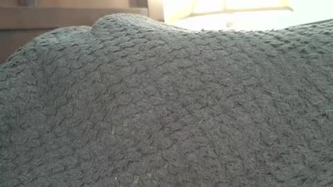 dapppper online show from 09-24-25, 02:20