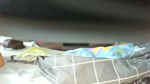 Dark Candy 254 online show from 04-09-26, 06:19