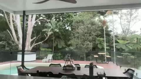 Snapshot of dartanian0001 chatting on 09-18-25, 08:55 dartanian0001 online show from 09-18-25, 08:55