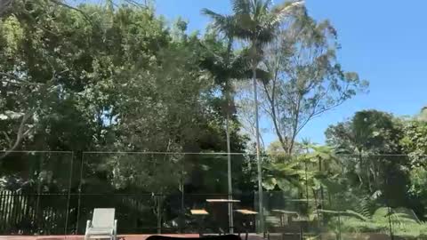 Snapshot of dartanian0001 chatting on 09-30-25, 02:05 dartanian0001 online show from 09-30-25, 02:05