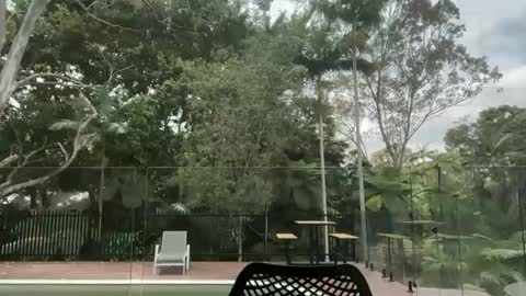 Snapshot of dartanian0001 chatting on 10-01-25, 12:38 dartanian0001 online show from 10-01-25, 12:38