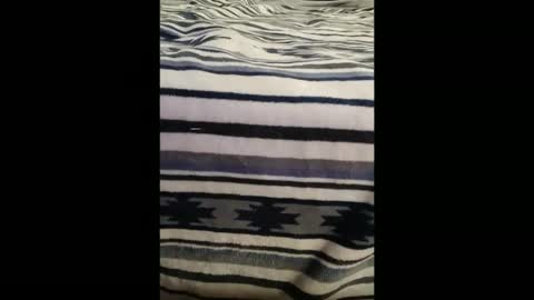 dat_guy8806 online show from 01-05-26, 11:52