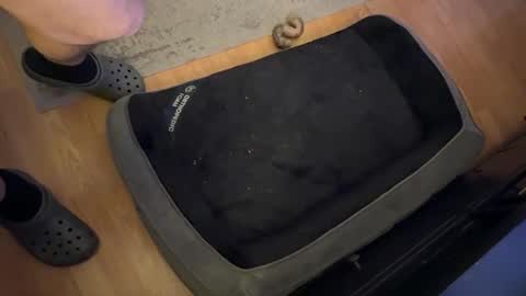 Snapshot of datguy127 chatting on 02-18-25, 05:09 Datguy127 online show from 02-18-25, 05:09