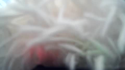 daverz3 online show from 03-04-26, 08:42