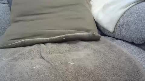 Snapshot of davesmiff1 chatting on 01-30-25, 07:48 davesmiff1 online show from 01-30-25, 07:48