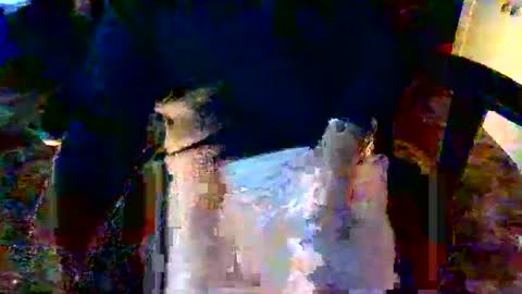 davidneedmore online show from 03-03-26, 02:34