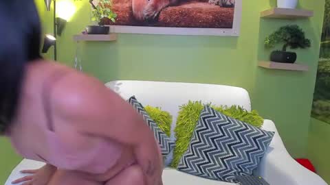 dayan_torres online show from 05-11-26, 02:45