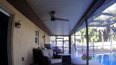 Dazey online show from 01-07-26, 08:55