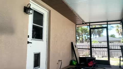 Dazey online show from 04-21-26, 08:23