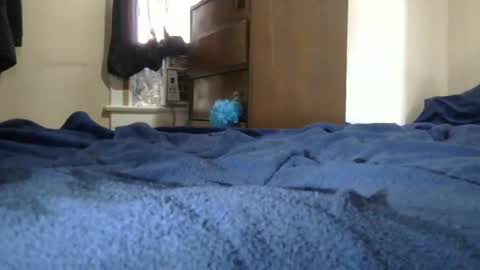 Dcdrew3 online show from 12-10-24, 05:00