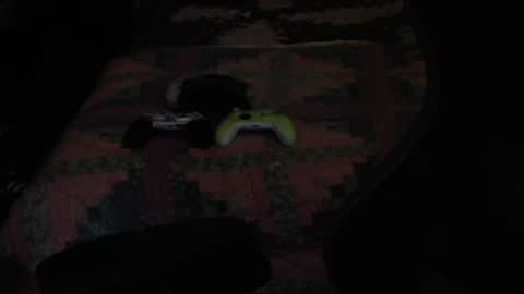 Snapshot of ddc444 chatting on 09-27-25, 08:36 DC online show from 09-27-25, 08:36