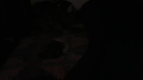 DC online show from 11-23-25, 02:22