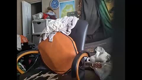 deadbirdink8o8 online show from 04-30-26, 11:42