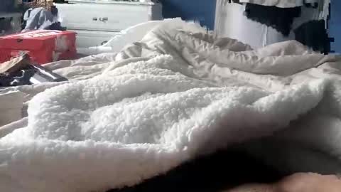 deano2105 online show from 03-15-26, 11:16