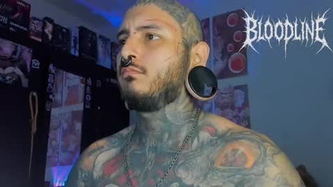    online show from 11-07-25, 06:41