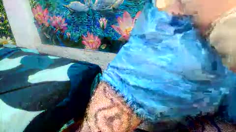 debrastephens online show from 05-29-26, 11:19