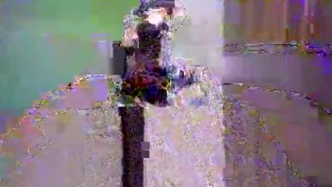 Dee4dayz online show from 06-01-26, 01:51