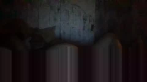 Snapshot of deepdiveme chatting on 04-15-26, 04:08 deepdiveme online show from 04-15-26, 04:08