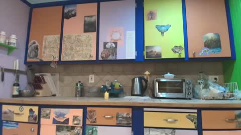 desimonroe online show from 01-03-25, 12:41