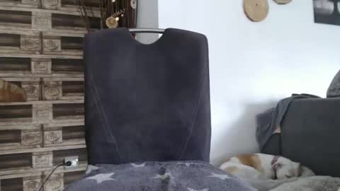 Snapshot of despotar123 chatting on 10-07-25, 11:18 despotar123 online show from 10-07-25, 11:18