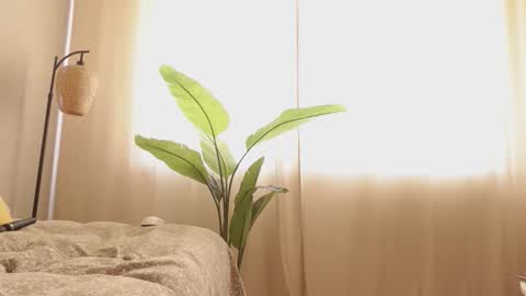 ...Ill be back ... online show from 03-12-26, 07:25