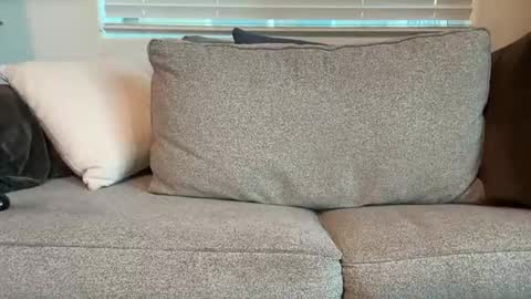 Snapshot of dgafsd chatting on 12-15-25, 03:27 dgafsd online show from 12-15-25, 03:27