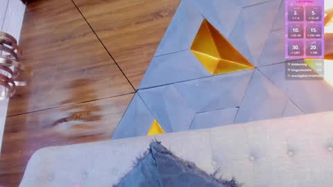 Snapshot of diamond_black19 chatting on 01-24-25, 11:12 Camila and Megan online show from 01-24-25, 11:12