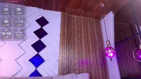 Snapshot of diamond_black19 chatting on 11-22-25, 07:02 Camila and Megan online show from 11-22-25, 07:02