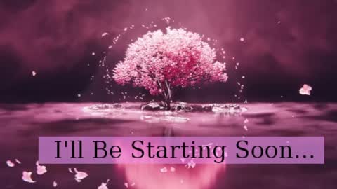 Daphne Sophia Vega online show from 04-03-26, 08:01