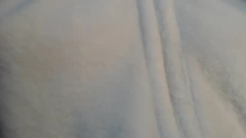 diana online show from 12-11-24, 06:42