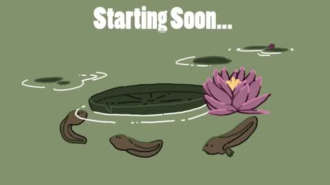 diana online show from 01-30-25, 08:31