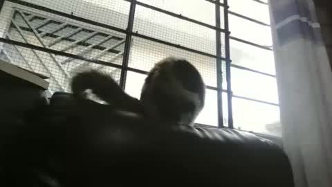 dickeduardo online show from 03-29-26, 10:32