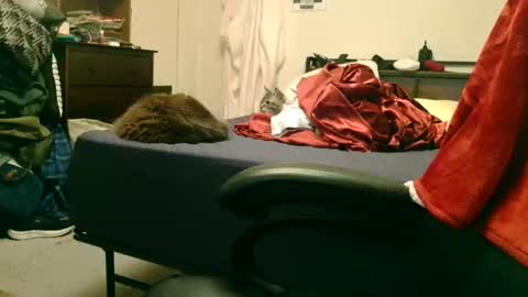 Snapshot of dicksmith99 chatting on 02-15-26, 02:19 Steve online show from 02-15-26, 02:19