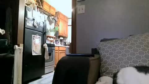 Snapshot of dickwack4u chatting on 01-04-25, 04:01 dickwack4u online show from 01-04-25, 04:01
