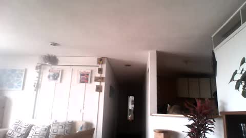 Snapshot of diego_incubo_ii chatting on 07-15-26, 04:34 diego_incubo_ii online show from 07-15-26, 04:34