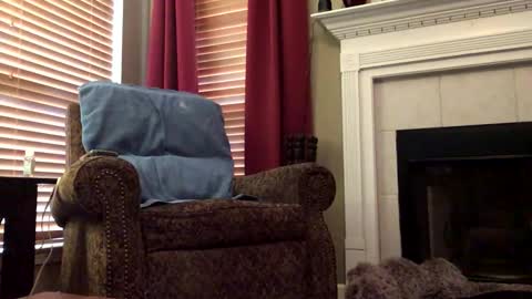 diegodavids online show from 02-06-25, 03:20