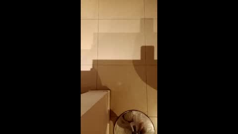 Diego online show from 02-21-26, 10:33