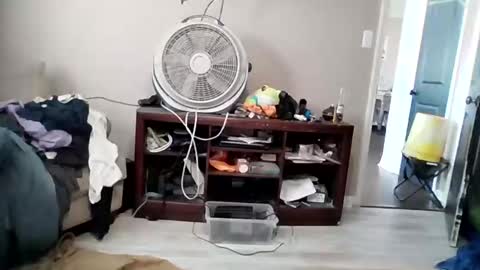 Daddy online show from 03-19-26, 08:46