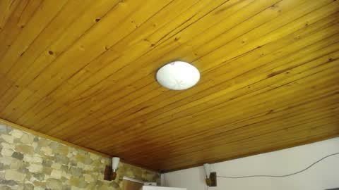 Snapshot of diinkley chatting on 11-12-25, 09:47 Velma Dinkley online show from 11-12-25, 09:47