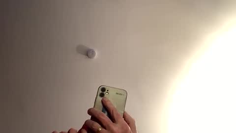 Dildolover online show from 01-15-26, 09:58