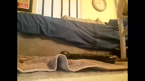 dildosnme22 online show from 03-10-25, 06:45