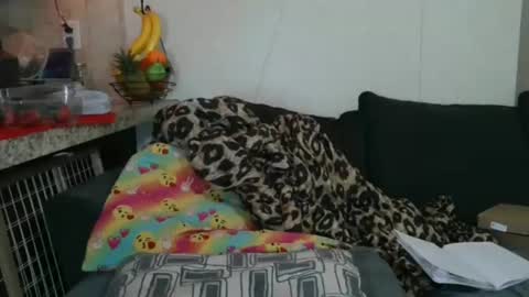 Sofie online show from 11-25-25, 05:35