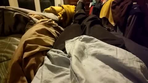 Soid online show from 12-24-24, 04:08