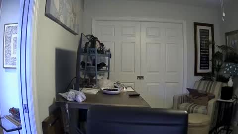 DirtkPitt Fun guy working online show from 01-04-25, 06:40