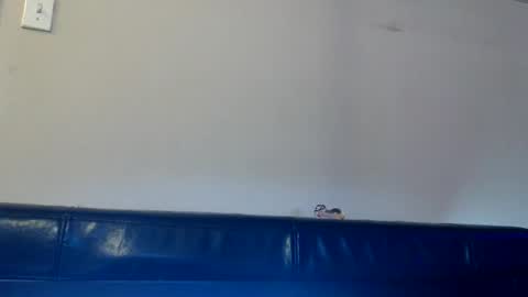 Snapshot of dirtydaisy1998 chatting on 11-14-25, 01:32 Daisy Wylde online show from 11-14-25, 01:32