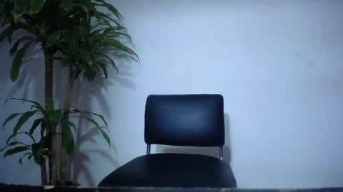 whats app - stagram marian doll online show from 02-26-25, 01:53